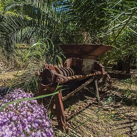 Vakantiehuis Casa Portico, Con Piscina In Comune *