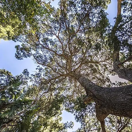 Casa Portico, Con Piscina In Comune Vakantiehuis Terrasini