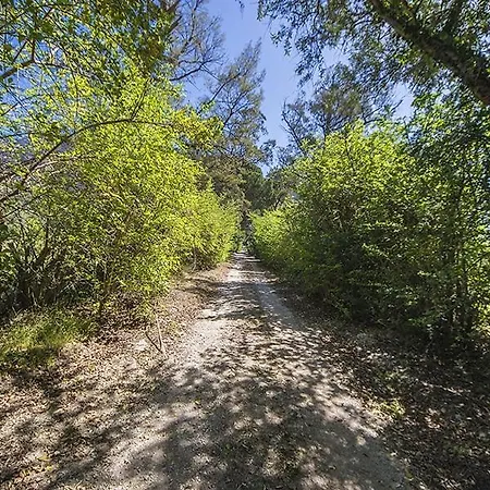 Casa Portico, Con Piscina In Comune Vakantiehuis *